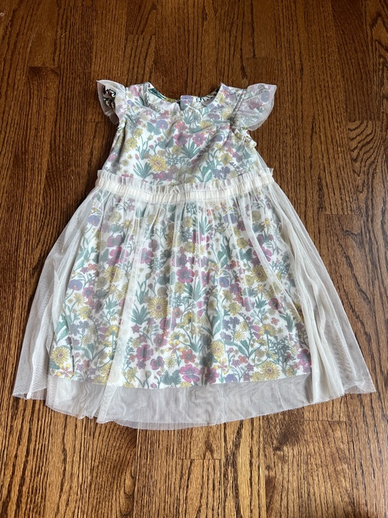 Hanna Andersson Other - Hanna Andersson Floral Tulle Dress in White with Pink, Yellow & Green